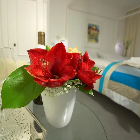 Lupinenhotel Bodensee ホテル ジプリンゲン